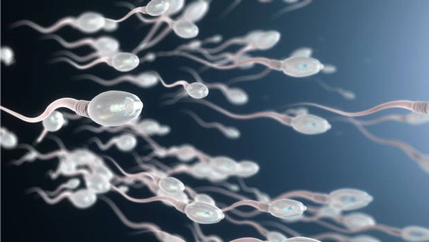 Espermograma: um exame eficaz para análise de fertilidade